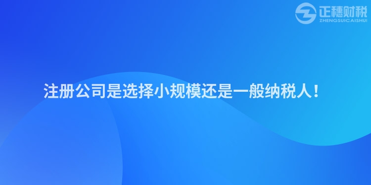 注冊公司是選擇小規模還是一般納稅人！