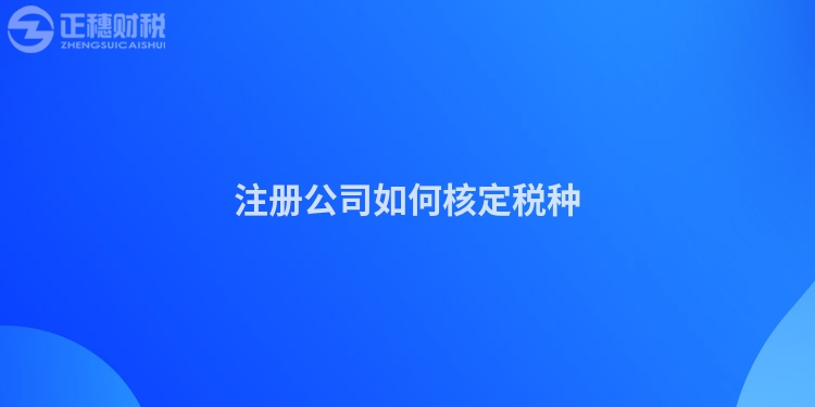 注冊公司如何核定稅種