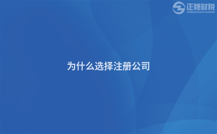 為什么選擇注冊公司