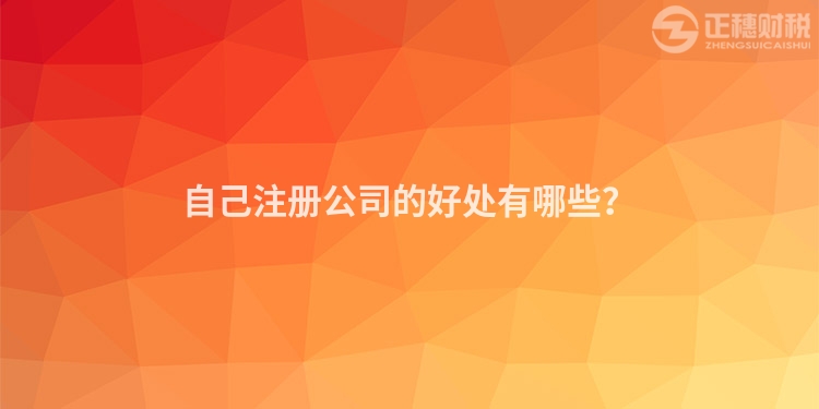自己注冊公司的好處有哪些？