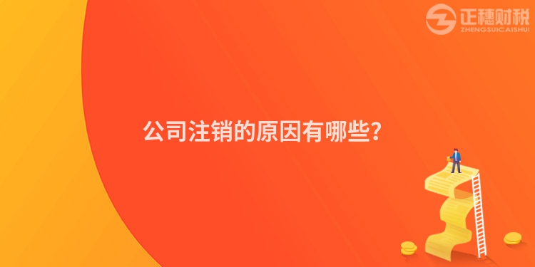公司注銷的原因有哪些？