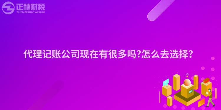 代理記賬公司現(xiàn)在有很多嗎?怎么去選擇？