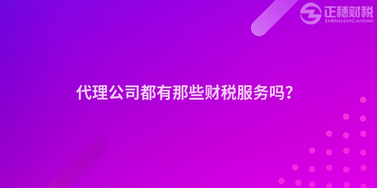 代理公司都有那些財(cái)稅服務(wù)嗎？