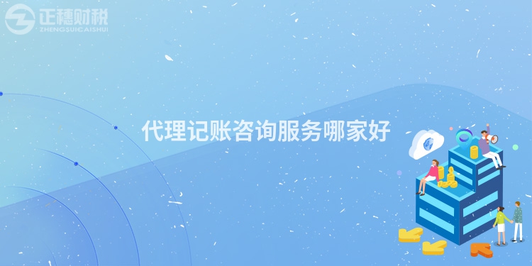 代理記賬咨詢(xún)服務(wù)哪家好