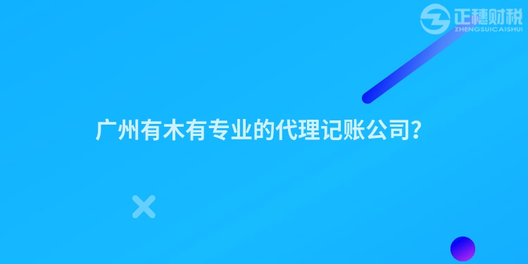 廣州有木有專業的代理記賬公司？