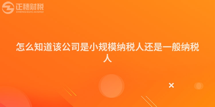 怎么知道該公司是小規模納稅人還是一般納稅人