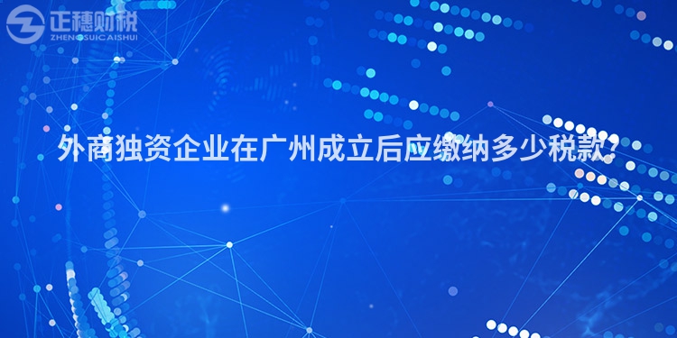外商獨資企業(yè)在廣州成立后應(yīng)繳納多少稅款?