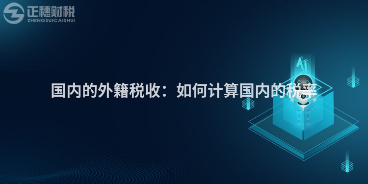 國內的外籍稅收：如何計算國內的稅率