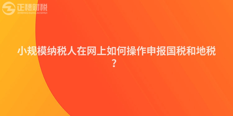 小規(guī)模納稅人在網(wǎng)上如何操作申報(bào)國稅和地稅？