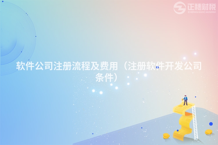 軟件公司注冊流程及費用（注冊軟件開發公司條件）
