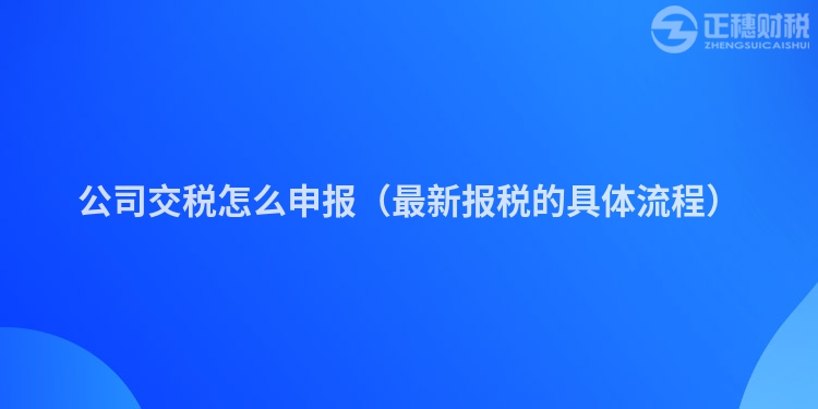 公司交稅怎么申報（最新報稅的具體流程）