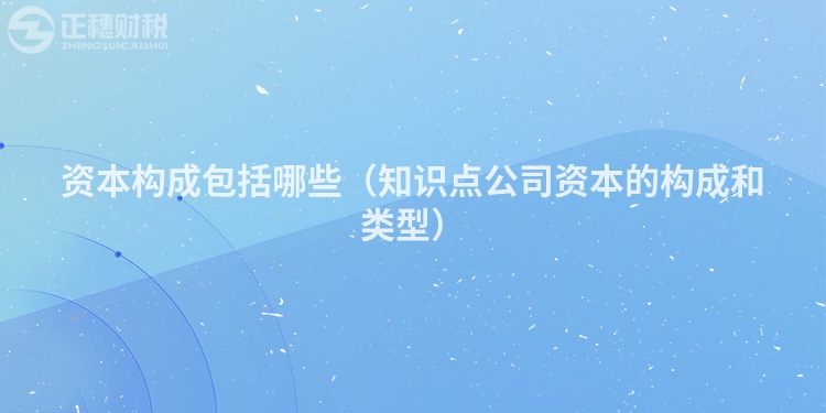 資本構成包括哪些（知識點公司資本的構成和類型）