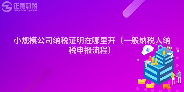小規(guī)模公司納稅證明在哪里開（一般納稅人納稅申報流程）