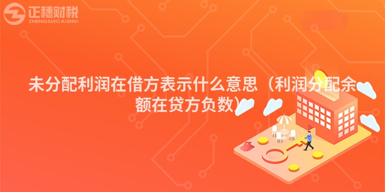 未分配利潤(rùn)在借方表示什么意思(利潤(rùn)分配余額在貸方負(fù)數(shù))
