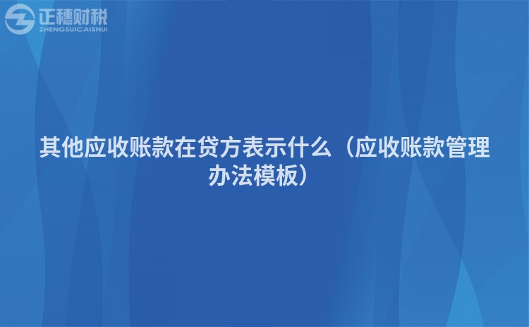其他應收賬款在貸方表示什么（應收賬款管理辦法模板）