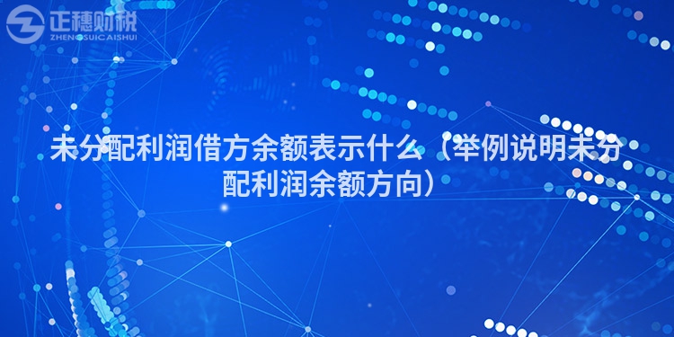 未分配利潤借方余額表示什么(舉例說明未分配利潤余額方向)