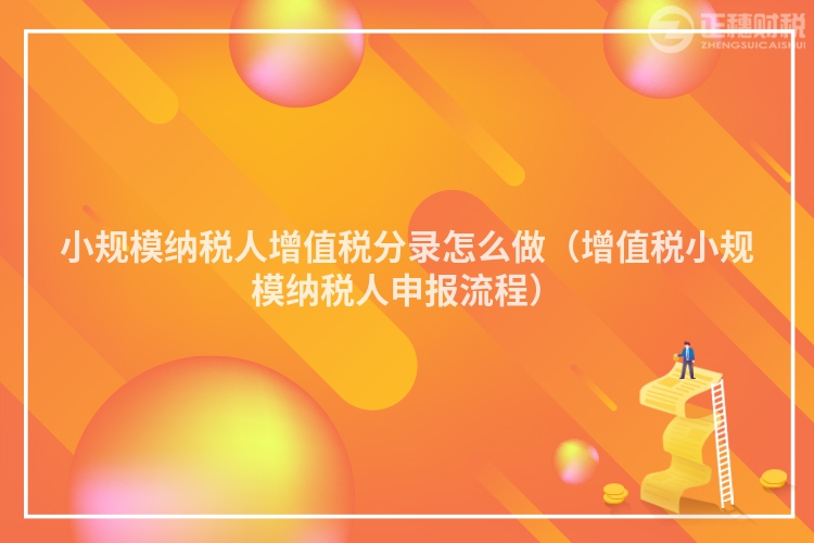 小規(guī)模納稅人增值稅分錄怎么做(增值稅小規(guī)模納稅人申報(bào)流程)