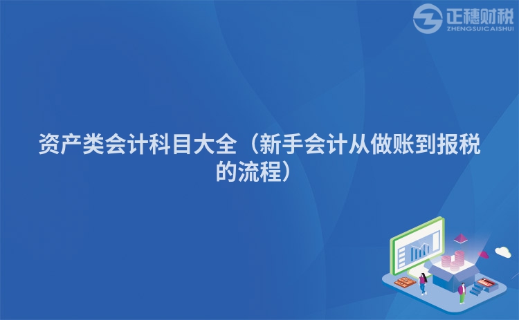 資產(chǎn)類(lèi)會(huì)計(jì)科目大全(新手會(huì)計(jì)從做賬到報(bào)稅的流程)