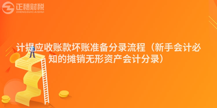 計(jì)提應(yīng)收賬款壞賬準(zhǔn)備分錄流程(新手會(huì)計(jì)必知的攤銷無(wú)形資產(chǎn)會(huì)計(jì)分錄)