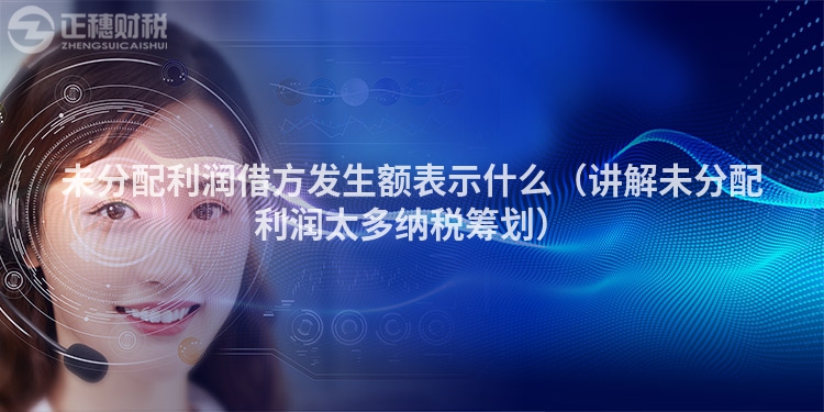 未分配利潤(rùn)借方發(fā)生額表示什么(講解未分配利潤(rùn)太多納稅籌劃)