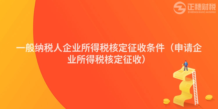 一般納稅人企業(yè)所得稅核定征收條件（申請企業(yè)所得稅核定征收）
