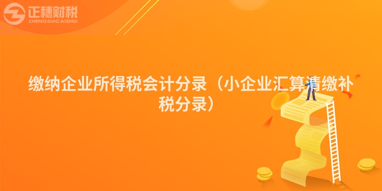 繳納企業(yè)所得稅會計分錄（小企業(yè)匯算清繳補稅分錄）